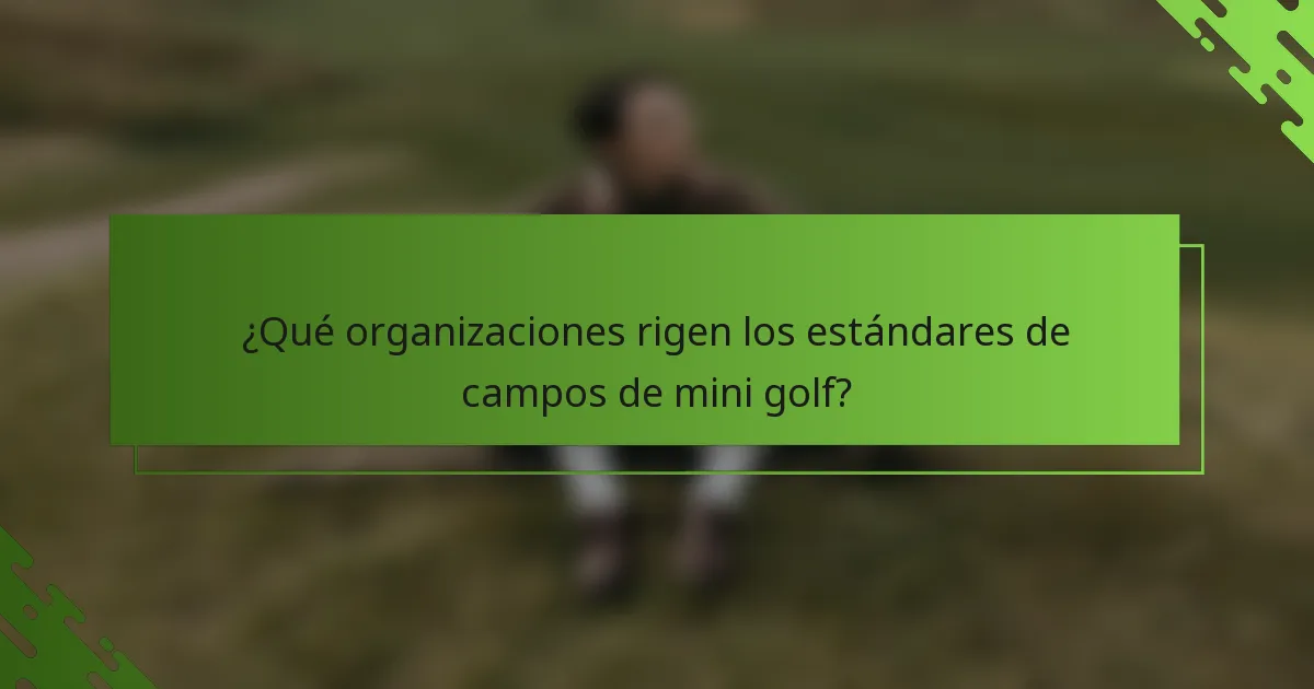 ¿Qué organizaciones rigen los estándares de campos de mini golf?